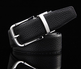 Case of buckle belt